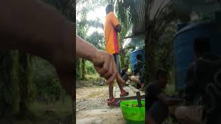 Download Lagu Acara perpisshan MP3