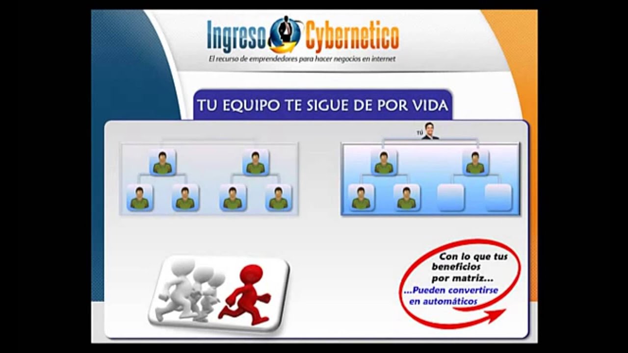 Como funciona la matriz 2 x 2 de Ingreso Cybernetico