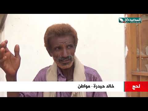 شجرة الجند ذات الاصول الهندية والنادرة في لحج تتعرض للانقراض