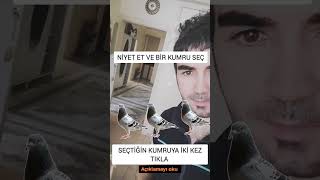 Ni̇yet Et Ve Bi̇r Kumru Seç