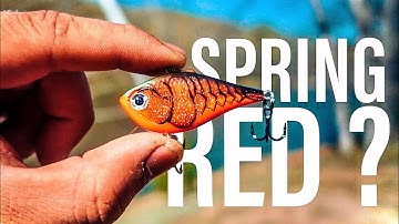 SPRING BASS FISHING with lipless crankbait ‼️( Bfs Fishing)
