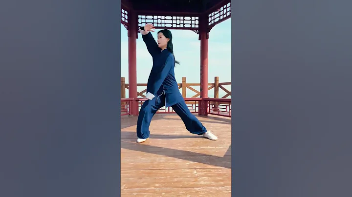 Kungfu Girl 功夫女孩展示太极拳48散手✋ - 天天要闻