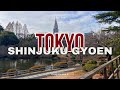 Shinjuku Gyoen Holiday Walk | 4K Tokyo Japanese Garden Tour 2025