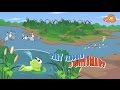 Tiny Tadpole Is Quite Smart | Moral Stories for Kids | Bedtime story| Junglewood E09