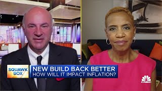 Celebrity Schumer-Manchin reconciliation bill 'is a strong package,' says former Rep. Donna Edwards Net Worth