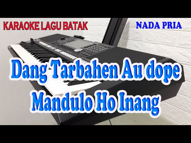 DANG TARBAHEN AU DOPE MANDULO HO [KARAOKE] LAGU BATAK class=