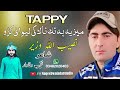 Muz ya pa tiktok ki lewanai karo  naseeb ullah wazir  pashto new song 2023  pashto music 