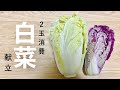 【冬の献立】白菜レシピ４品【晩ご飯】