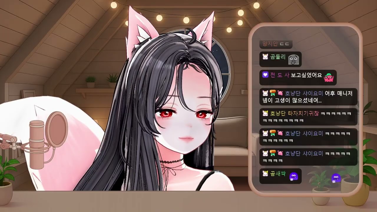 2026. 02. 03 다시보기