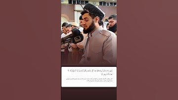 شيخ رعد الكردي حالات واتس اب | سورة: (الأعراف: ٣١)