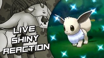 SHINY EEVEE IN 91 ENCOUNTERS! FIRST DEXNAV SHINY!!! Live Reaction w/ MagicActivatr