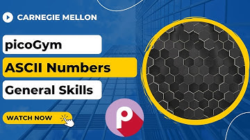 picoGym (picoCTF) Exercise: ASCII Numbers