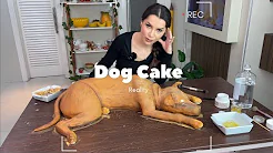 Dog Cake - Reality