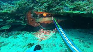 Spearfishing the Wreck of the "Dixie Arrow" off of Ocracoke, NC 7/8/23