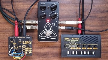 Kastle Drum 14 (with monotron delay and T2 Reverb)