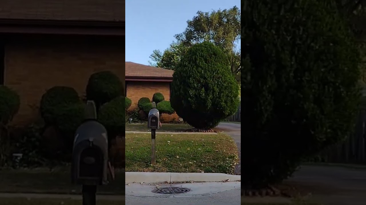 CB radio troll Robert Delgado EXPOSED!