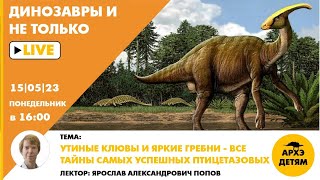 Занятие &quot;Утиные клювы и яркие гребни — все тайны самых успешных птицетазовых&quot; с Ярославом Поповым