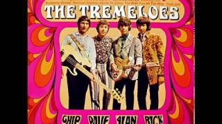 The Tremeloes - Sing Sorta Swingle