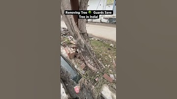 Removing Tree 🌳  Guards Save Tree in India!