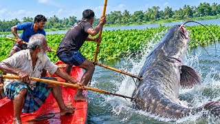 Full “The Ultimate Battle! Three Fishermen vs. a Giant Monster Fish!” Update