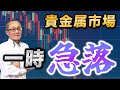 【2026年1月30日】貴金属市場 一時急落　大きな利食い玉が持ち込まれ貴金属相場が一時急落　余波から金融市場ではリスク回避の動きへ　注目の為替報告書は？
