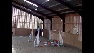 ... My Jumping Lesson on Dolly ...
