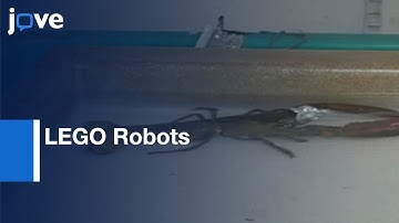 Nervous System stimulations on LEGO Robots | Protocol Preview