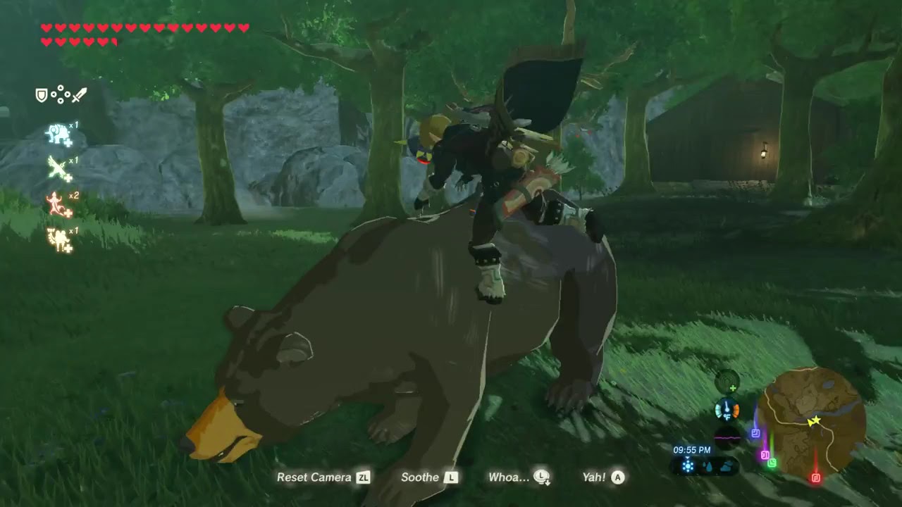 Zelda Breath of the Wild How to Kill a Bear YouTube