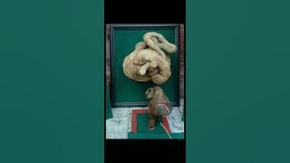 bambu unik vs akar .bun set mingmang #viralvideo #bali #fly #viral#shots #youtubeshorts #tayangan