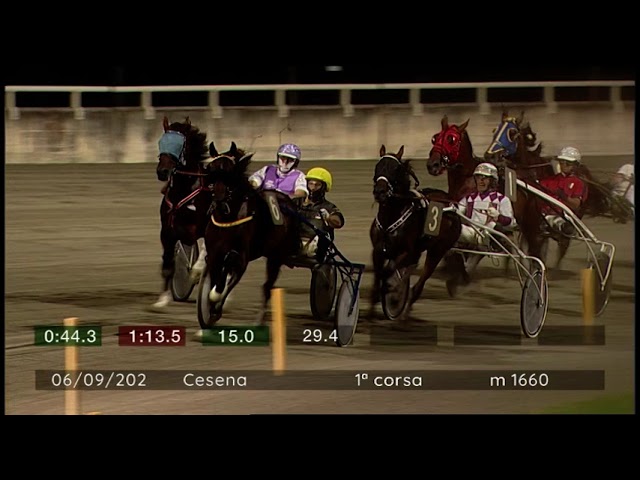 2024 09 06 | Corsa 1 | Metri 1660 | Premio Federnat