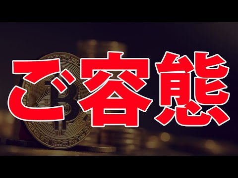 ビットコイン様 - 本日のご容態