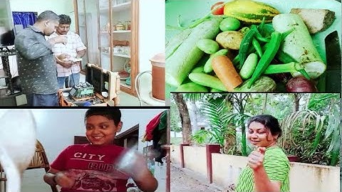 വീട്ടിൽ പുതിയൊരു അതിഥി കൂടി /simplecooking/breakfast & lunch/Veettammavlogs /Dayinmylife /family