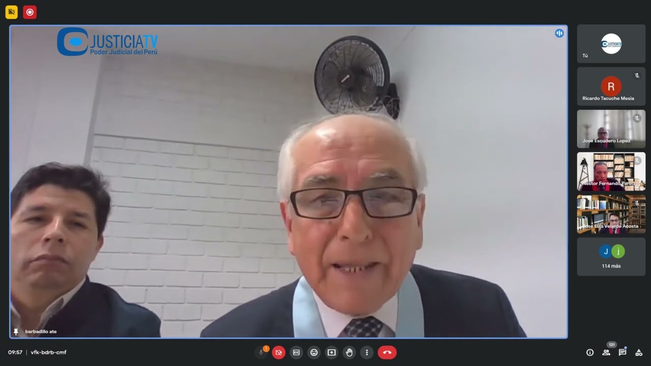 Amparo contra el Congreso de la República por el proceso de vacancia contra Pedro Castillo