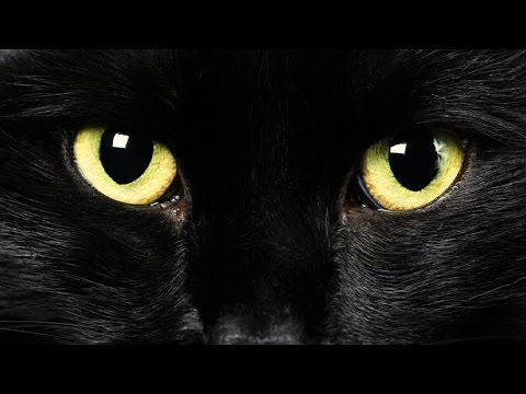 Believe them or not, these old wives' tales are enduring. Join http://www.WatchMojo.com as we count down our picks for the top 10 superstitions. Special than...