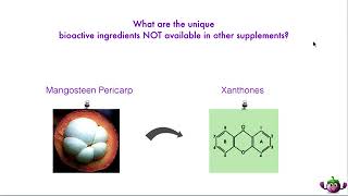 XANGO - The Science BEHIND the Mangosteen with Dr  J  Frederic Templeman MD