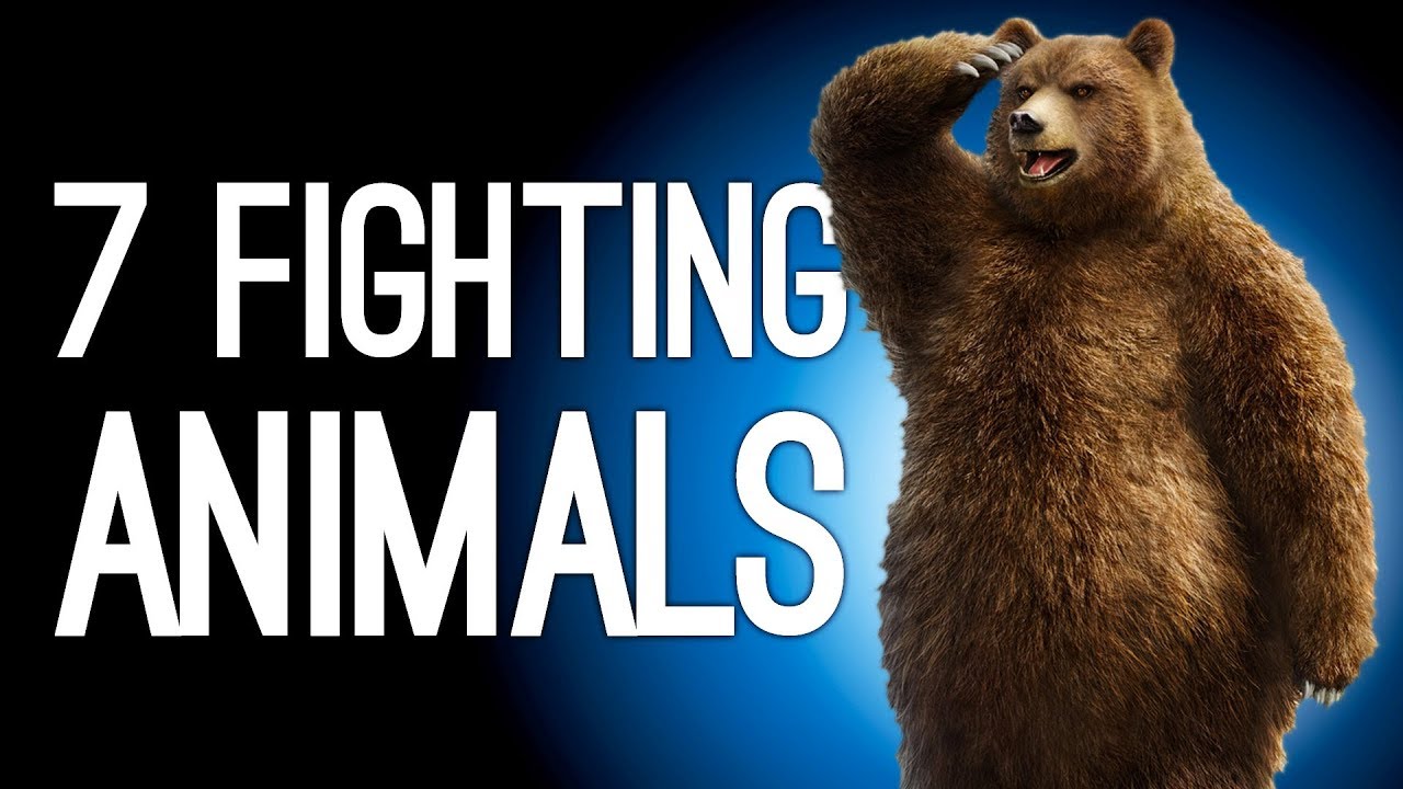 7 Animals Who Snuck Into Human Fighting Tournaments - YouTube