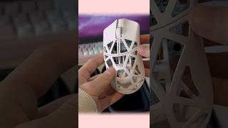 A Worthy Successor Wlmouse Beast X Mini Pro Unboxing