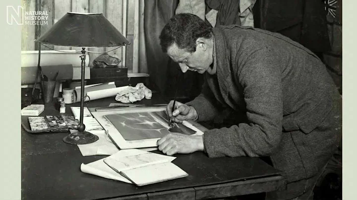 Edward Wilson's ground-breaking watercolours | Nat...