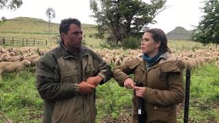 Manage & Weigh your livestock from your smartphone. screenshot 3