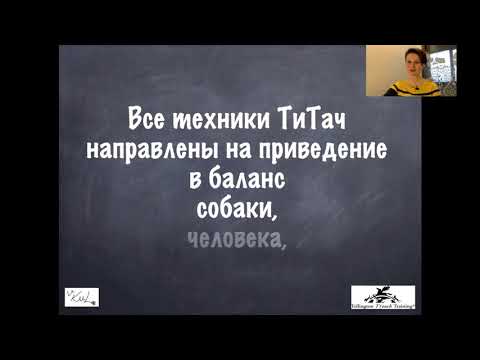 Видео: 5 советов, чтобы предотвратить бостон терьера от натяжения поводка