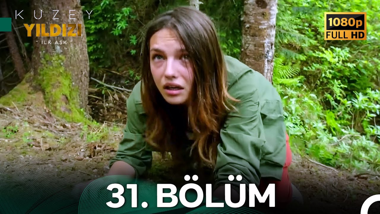 Kuzey Yıldızı İlk Aşk 31. Bölüm (Full HD)