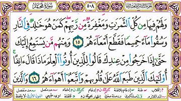 القرآن الكريم مقسم صفحات | الشيخ حاتم فريد | سورة محمد | صفحة 508 مكتوبة | مصحف التجويد الملون