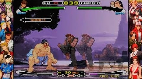 Evil Ryu vs E.Honda/Raiden: Capcom vs SNK Pro