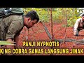 Panji Hipnotis King cobra ganas penunggu kebun