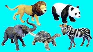 Toy Wild Animals 3D Puzzles Collection - Lion Panda Elephant Zebra Tortoise │ Animals for children Toy Wild Animals 3D Puzzles Collection - Lion Panda Elephant Zebra Tortoise │ Animals for children