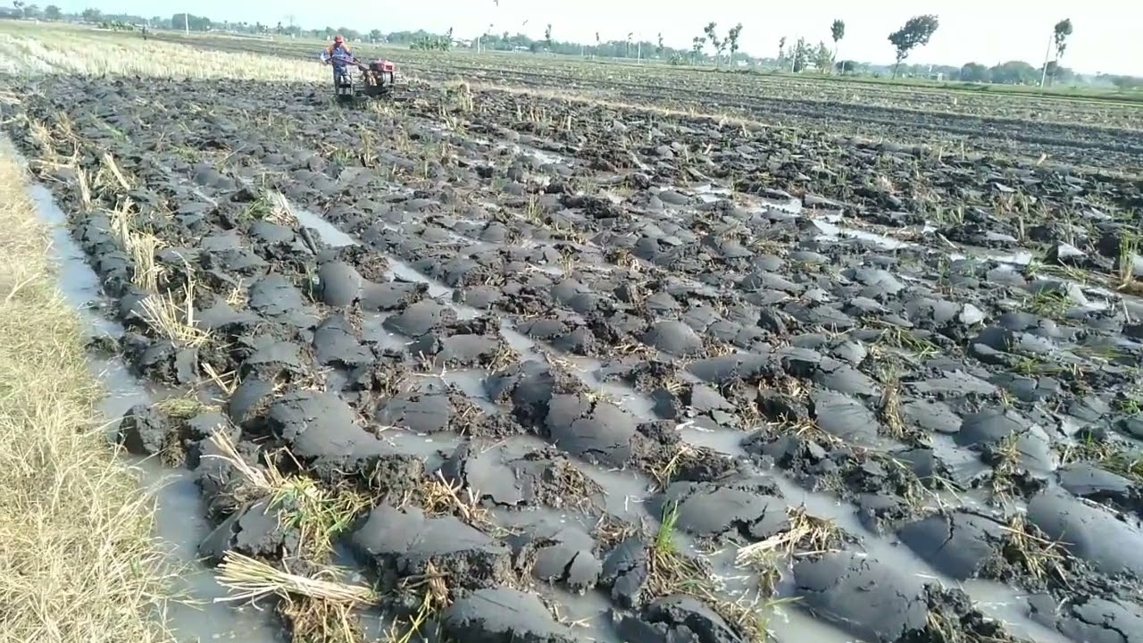 proses penyingkalan lahan tahap1