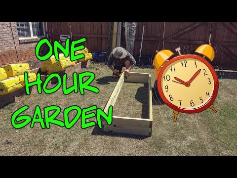 Video: Hoe om in houers tuin te maak
