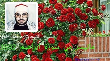 الشيخ الشحات أنور رحمه الله ماتيسر من سورة ابراهيم 1992