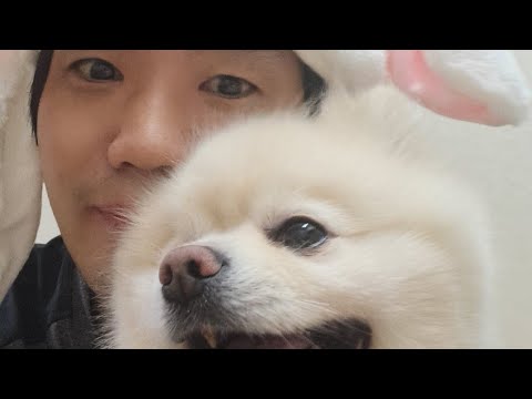 하늘로 간, 강아지 '세일'이를 생각 하며