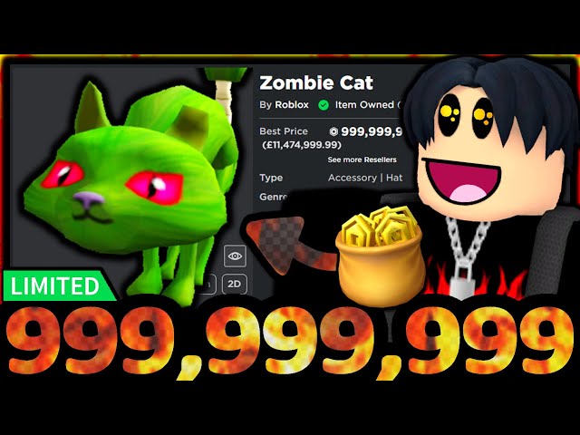 Roblox: 15 Most Expensive Catalog Items